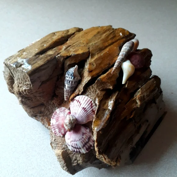 Driftwood and Shell Ornament - Picture 1 of 3